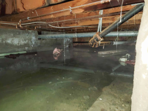 Best Flood damage cleanup  in North Yelm, WA