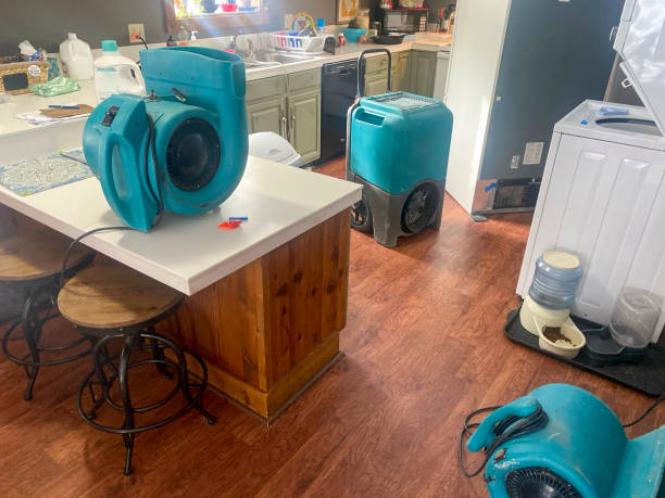 Best Water damage restoration near me  in North Yelm, WA