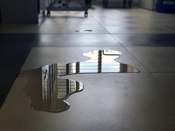 Best Water damage restoration cost  in North Yelm, WA