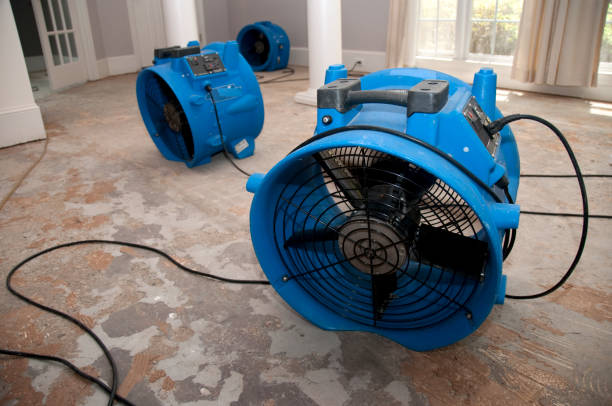 Best Emergency water extraction  in North Yelm, WA