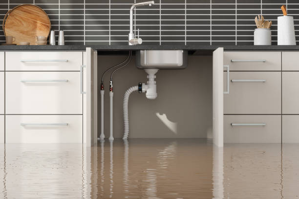 Best Water damage contractors near me  in North Yelm, WA
